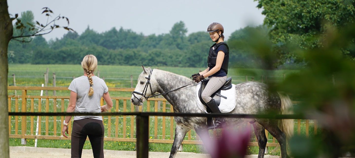 Reitschule Möllers in Drensteinfurt - Pferde und Ponys auf dem Reitplatz, wo Kinder das Reiten lernen
